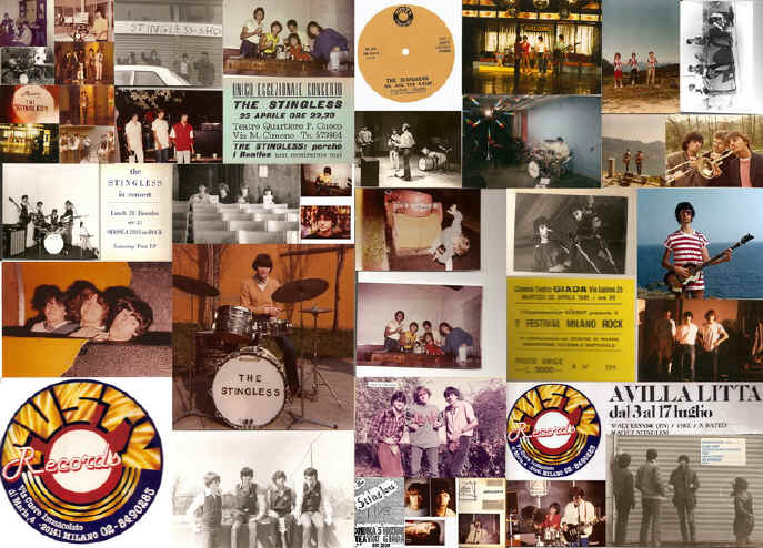 Foto Collage The Stingless@